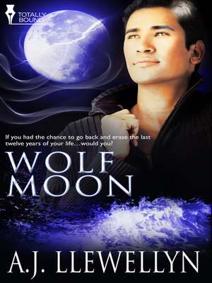 cover image of Wolf Moon